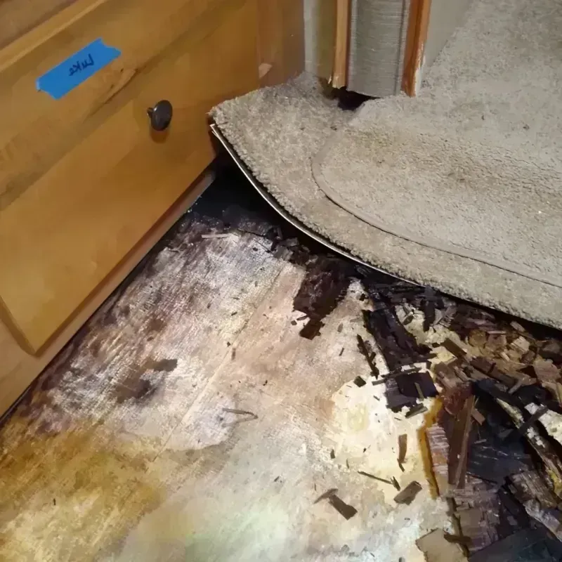 Wood Floor Water Damage in Enigma, GA